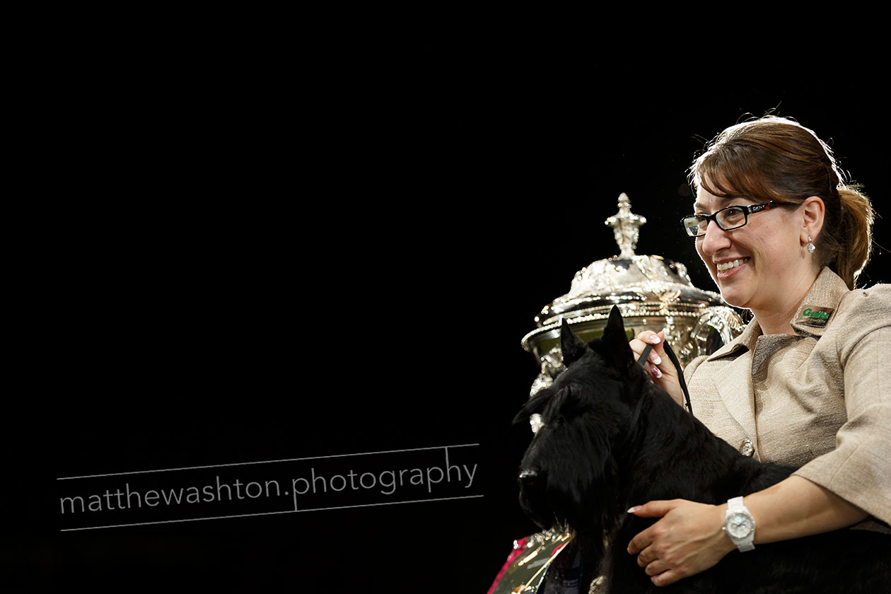 Crufts editorial Photography